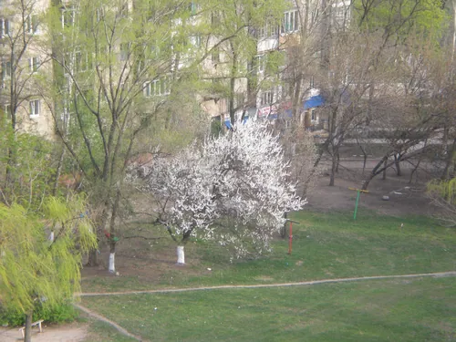 Вулиці Донецька · 2011