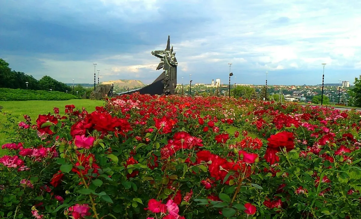 Маки і памʼять · Донецьк