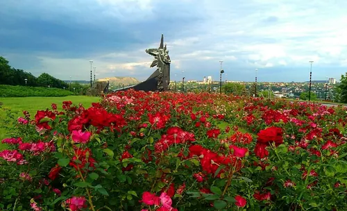 Маки і памʼять · Донецьк