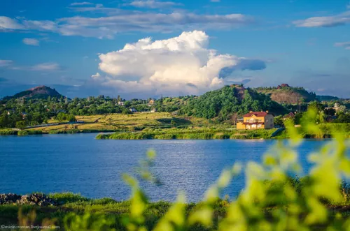 Світло крізь листя · Донецьк