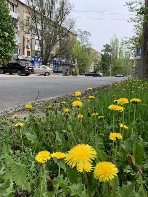 Київський район · вулиця навесні