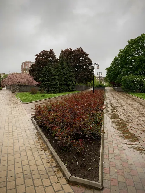 Бульвар Шевченка · алея