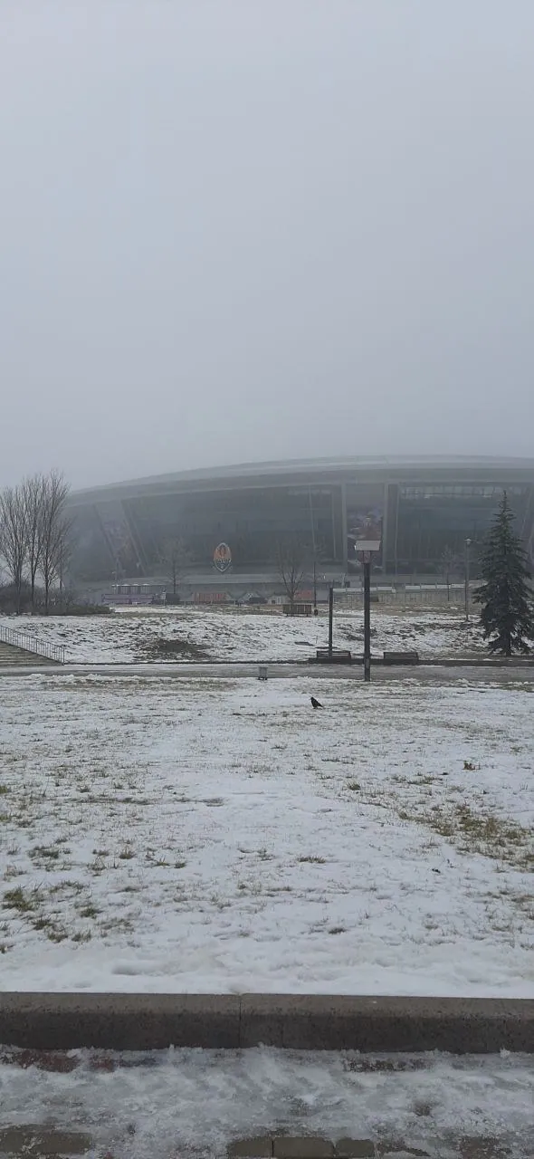 Донбас Арена · зимовий туман