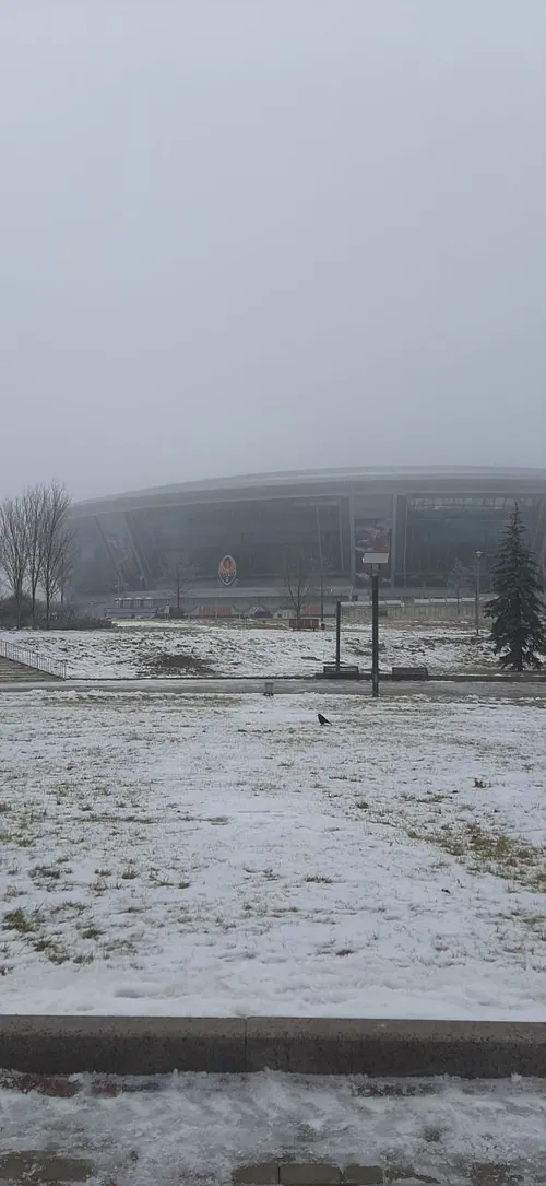 Донбас Арена · зимовий туман